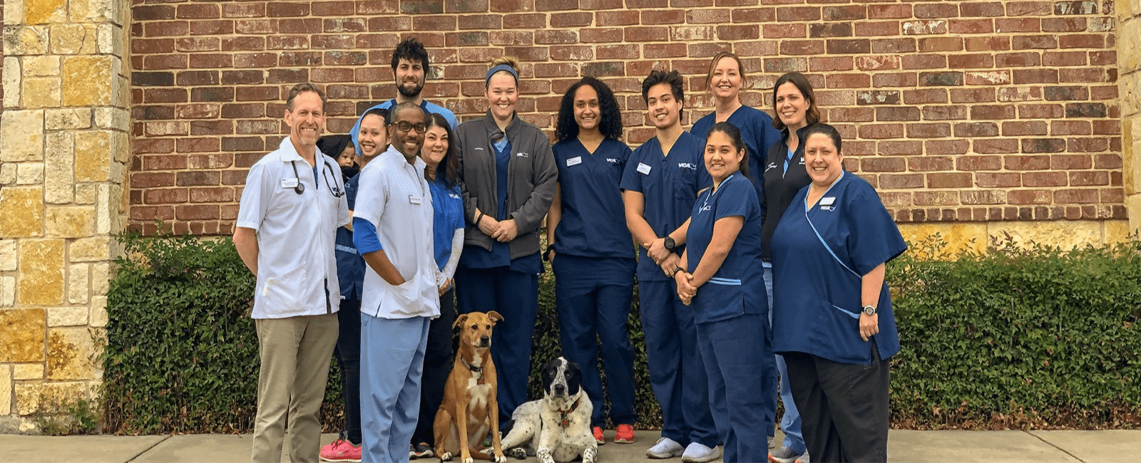 Veterinarians in Saginaw, TX VCA Saginaw Animal Hospital