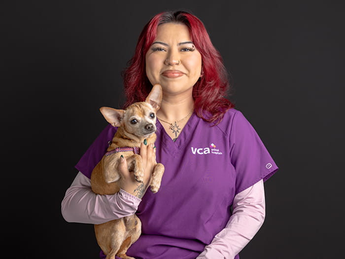 Staff Image