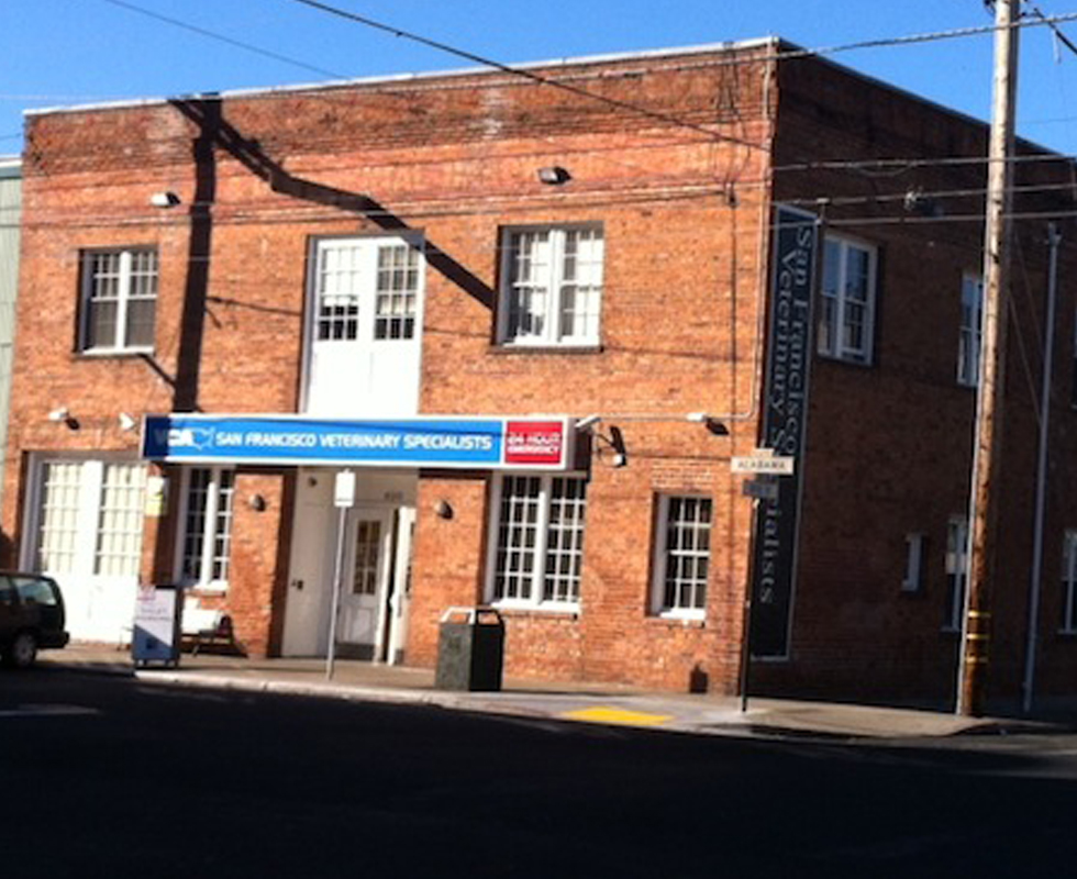 Our Hospital VCA San Francisco Veterinary Specialists