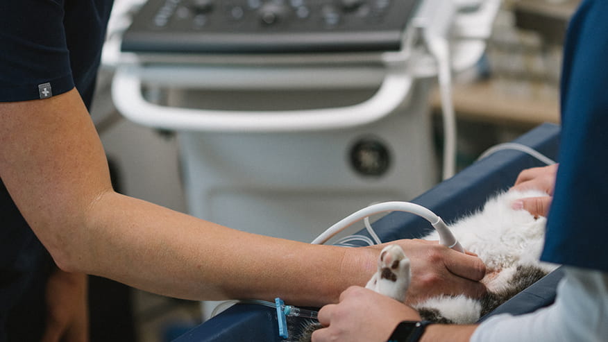 San Martin Ultrasound