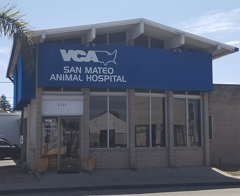 Our Hospital VCA San Mateo Animal Hospital