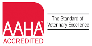 vca sand lake animal hospital