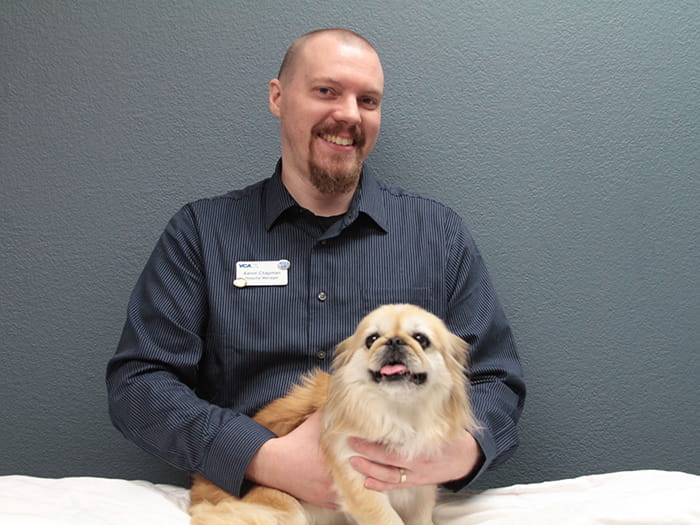 vca sandy lake animal hospital