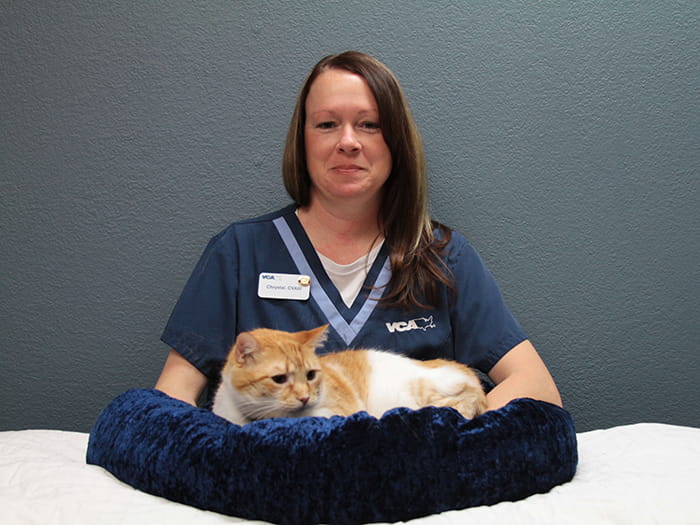 vca sandy lake animal hospital