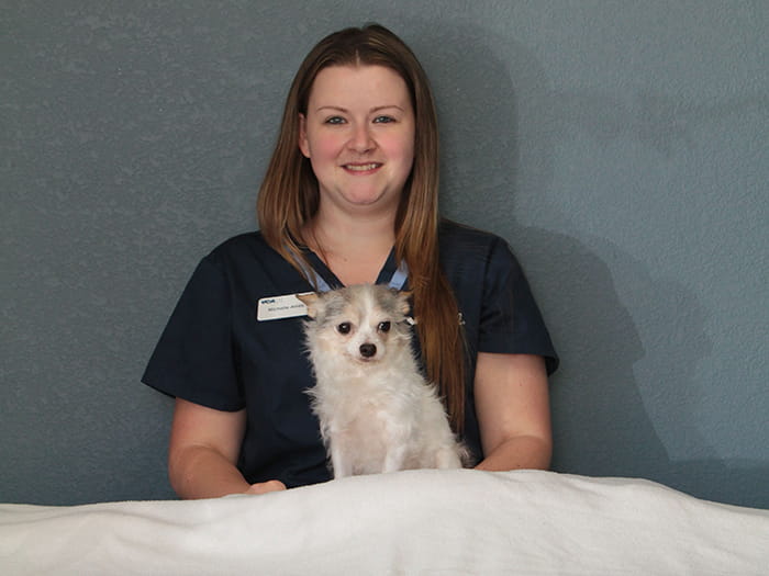 vca sandy lake animal hospital