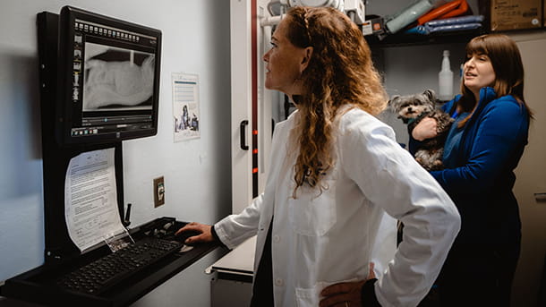 Veterinarian and technician with dog looking at digital x-ray at VCA Animal Hospital of Santa Cruz