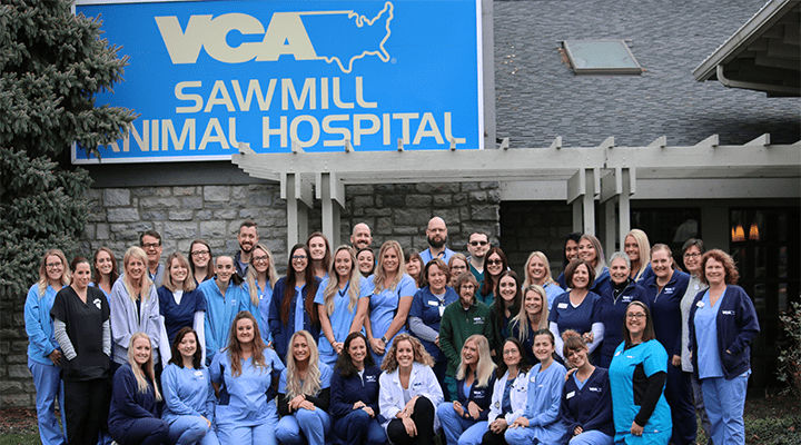 Veterinarians in Columbus, OH | VCA Sawmill Animal Hospital