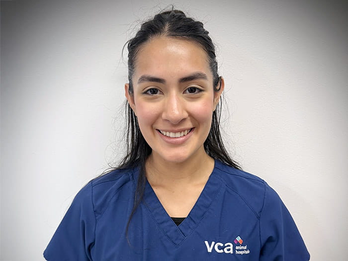 Staff Image