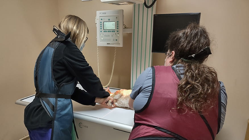 Schaumburg Digital Radiology
