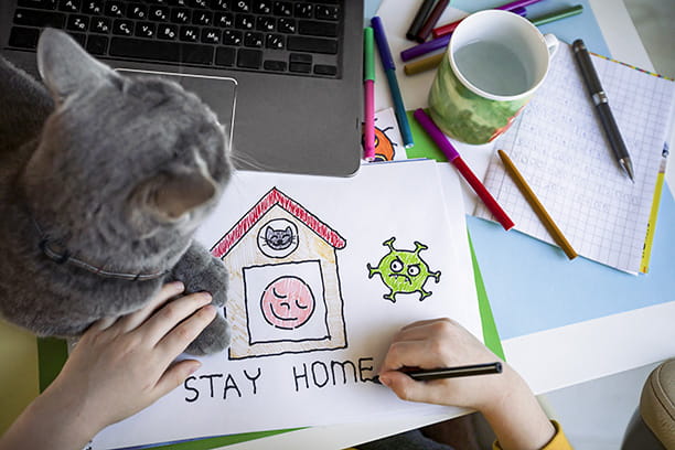 homeschooling with pet