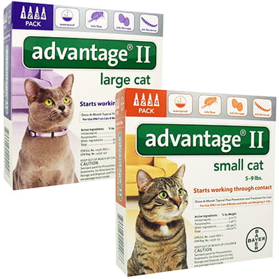 cheapest advantage for cats