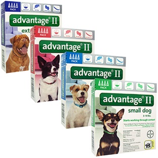 Advantage® II Dog