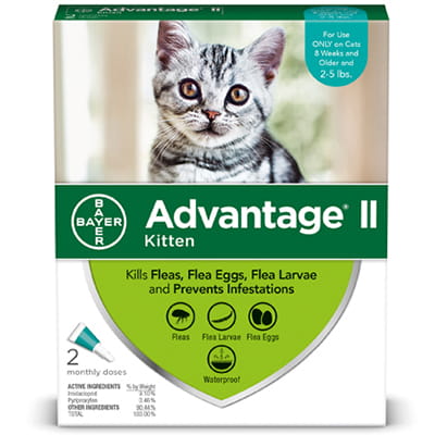 advantage for kittens