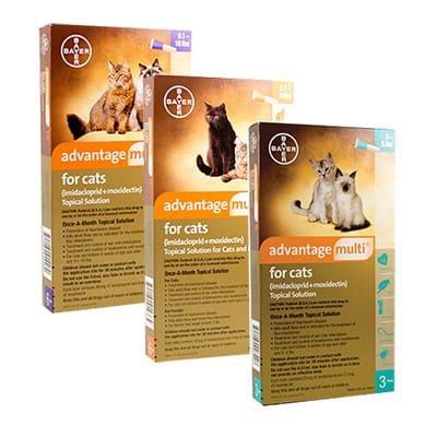 advantage multi topical solution for cats