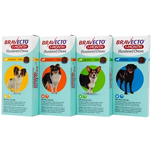 Bravecto® 1-MONTH Chews for Dogs