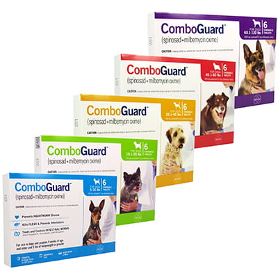 heartworm flea combo pill