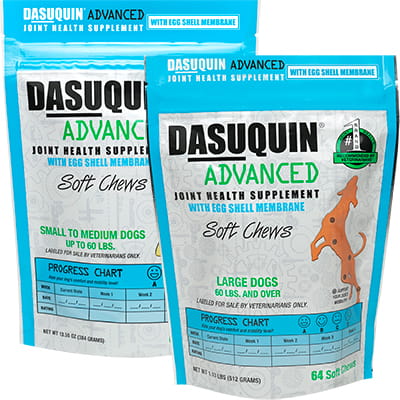 dasuquin chews