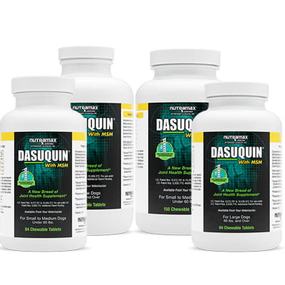 dasuquin glucosamine