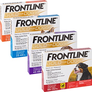 FRONTLINE® Gold Canine
