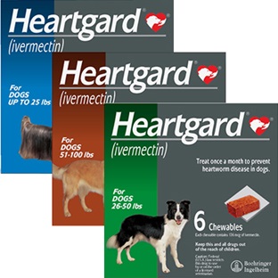 HEARTGARD® Chewables Canine