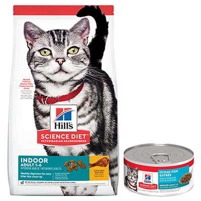 hills indoor cat