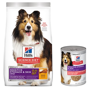 Hill's® Science Diet® Adult Sensitive Stomach & Skin Canine - Dry