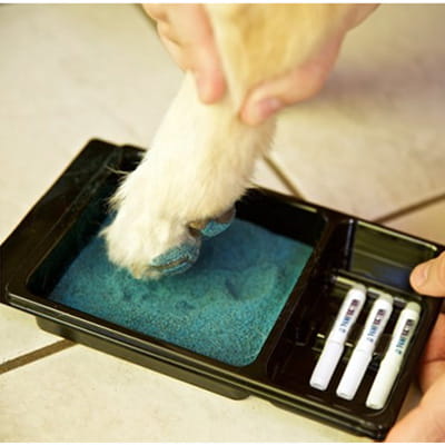 pawfriction petsmart