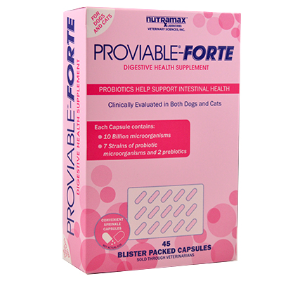 Proviable®-Forte Capsules | Shop myVCA