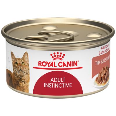 royal canin renal canned cat food