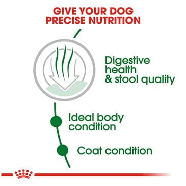 royal canin puppy small indoor