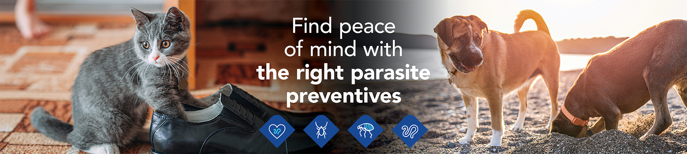 parasite prevention header image