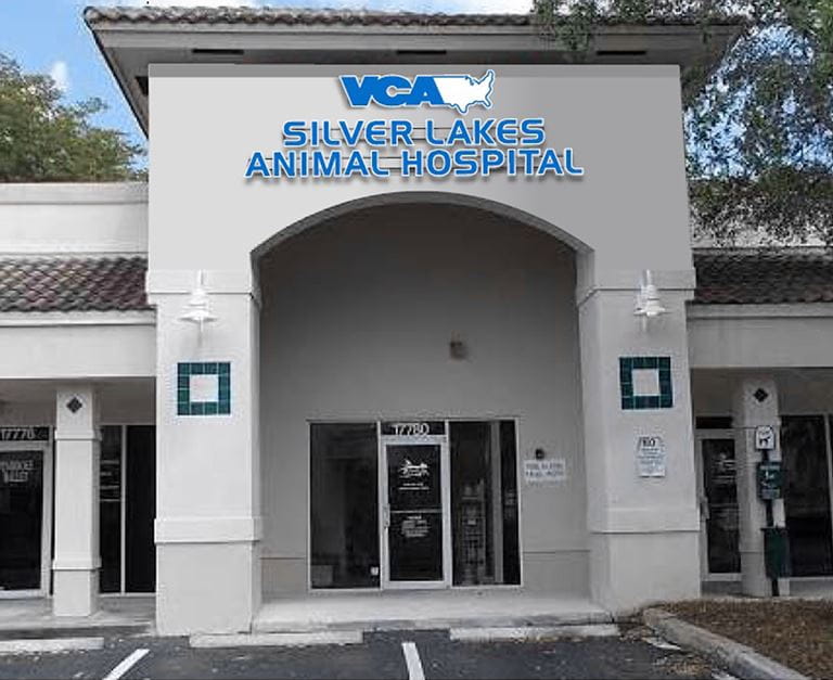 Our Hospital VCA Silver Lakes Animal Hospital