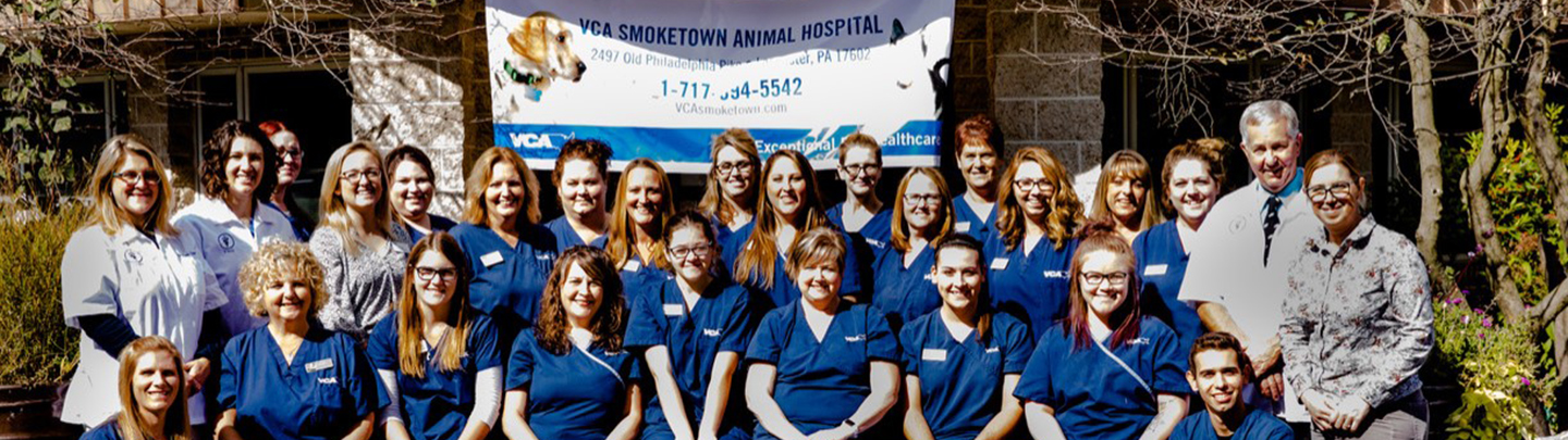 VCA Smoketown Animal Hospital Team Picture