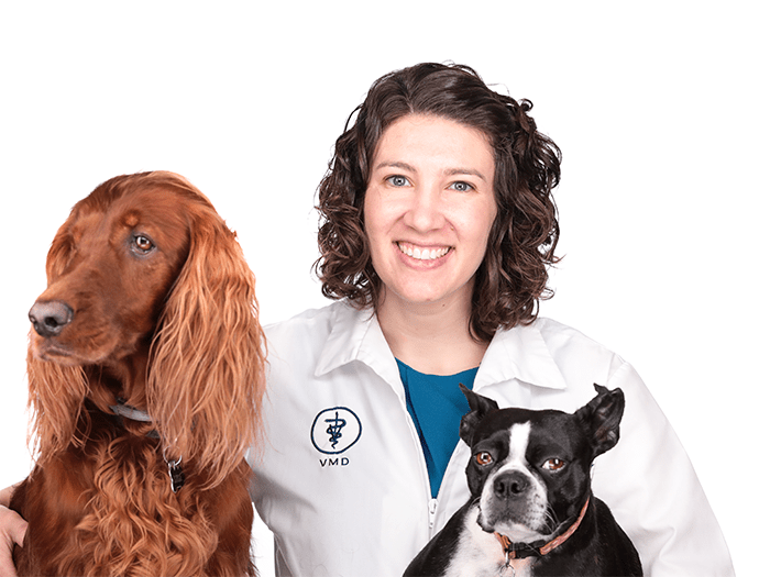 smoketown veterinary hospital