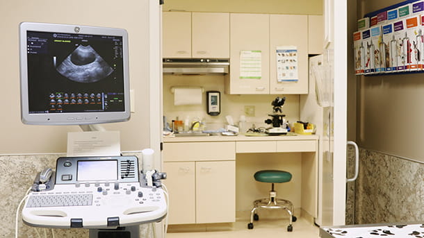 Ultrasound at VCA Smoketown