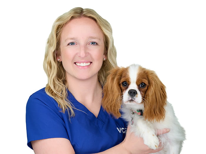 Staff Image