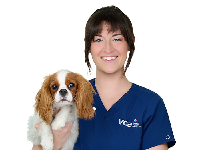 Staff Image