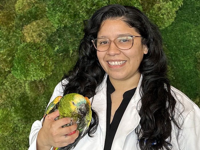 Carol Raa | VCA South Dade Animal Hospital