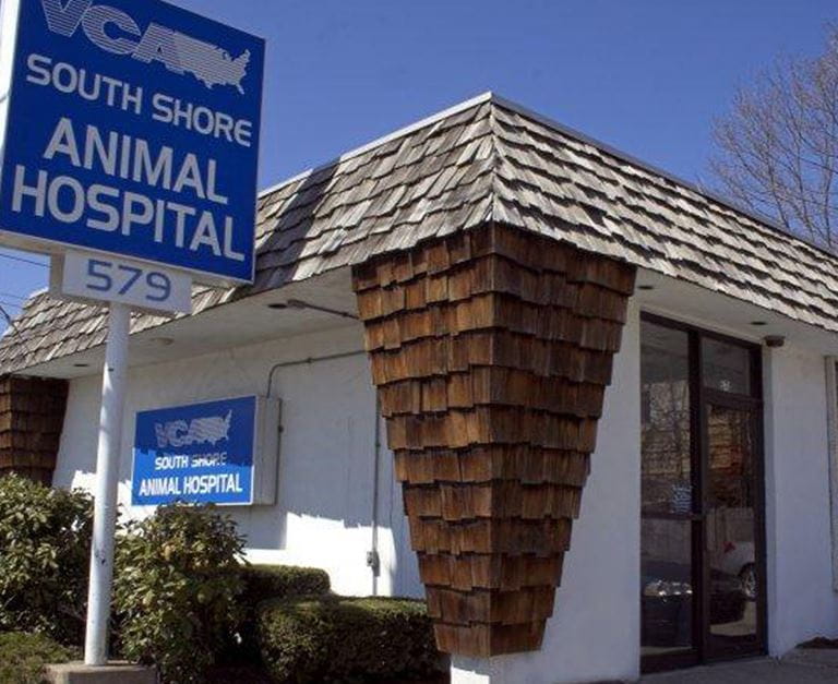 Our Hospital VCA South Shore (Quincy) Animal Hospital