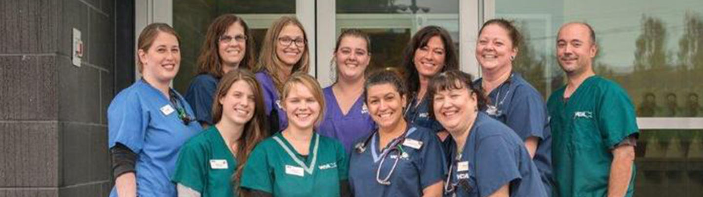 Team Picture of VCA South Shore (Weymouth) Animal Hospital