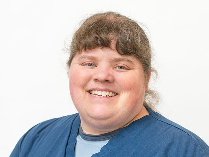 Vca employee email login