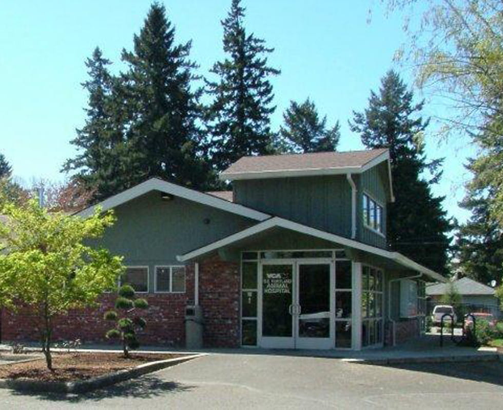 wellness dog food advisor