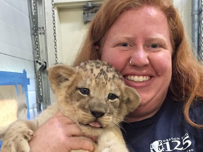 vca southeast animal hospital