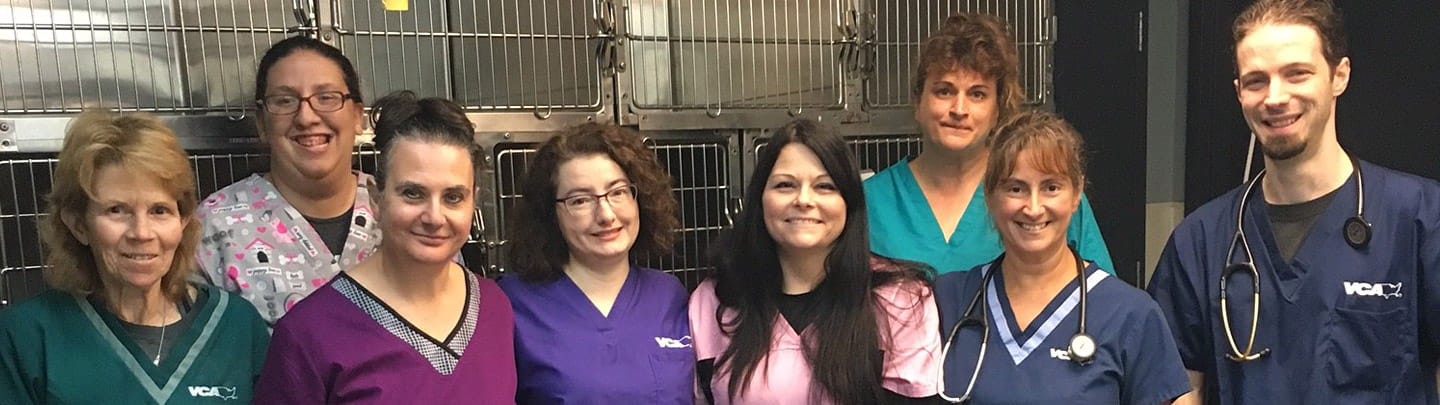 vca southgate animal hospital