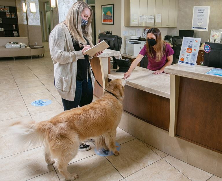 Your First Visit to VCA in Houston, TX VCA Spring Branch Animal Hospital