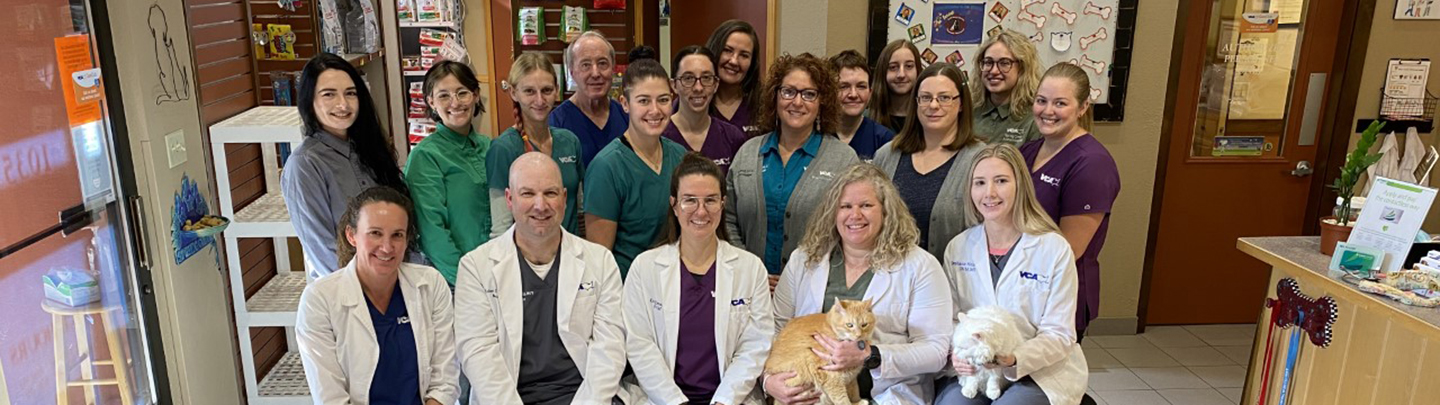 Team Picture of VCA Spring Creek Animal Hospital