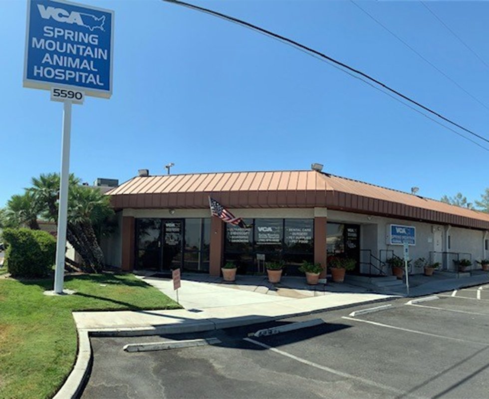 Hospital Picture of VCA Spring Mountain Animal Hospital