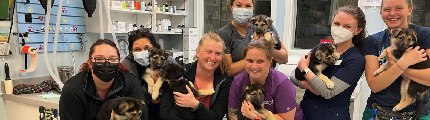 VCA St. Clair Shores Animal Hospital Team Picture
