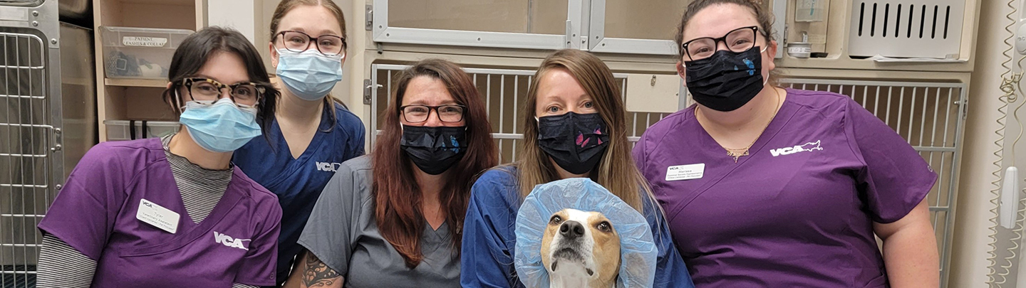 Team Picture of VCA St. Mary's Animal Hospital