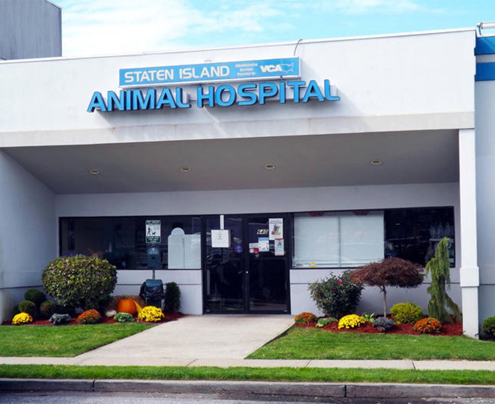 animal hospital near by me